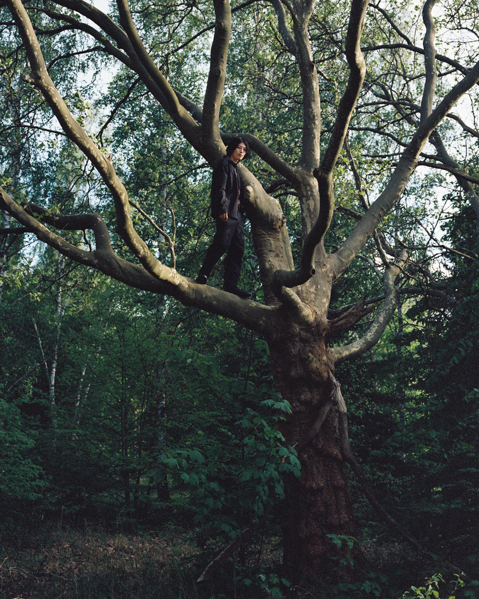 Mercedes-Benz-280CE-tree-by-Robert-Wunsch Guy standing on the branch of a big tree.