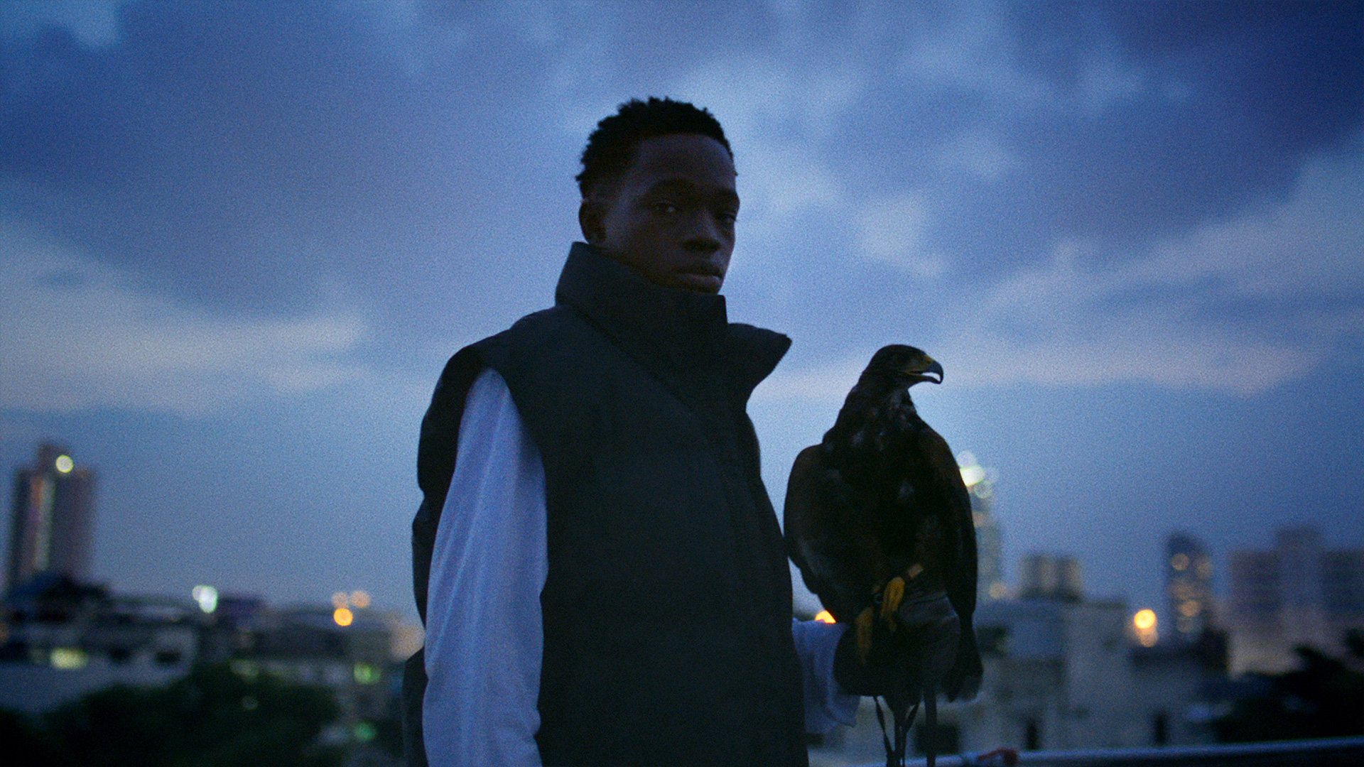 Rita-Ora-x-Tiago-PZK-x-Robin-Schulz-Ill-Be-There-crow-by-Robert-Wunsch Guy holding a crow in front of a blue skyline with high buildings.