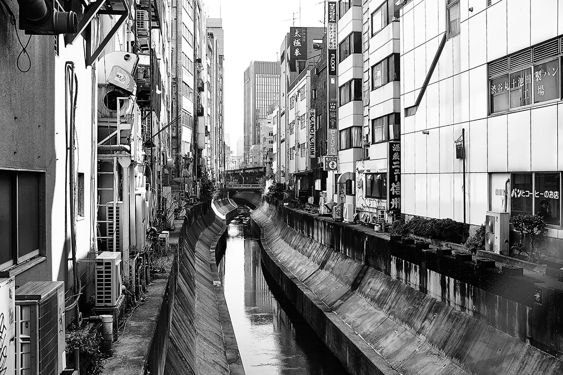 Nihon-by-Robert-Wunsch-00027