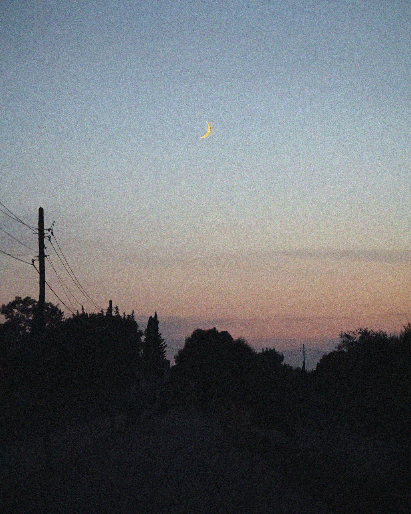 observations-by-Robert-Wunsch-00005